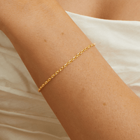 19cm Hollow Oval Belcher Chain in 9kt Yellow Gold Bracelets Bevilles 