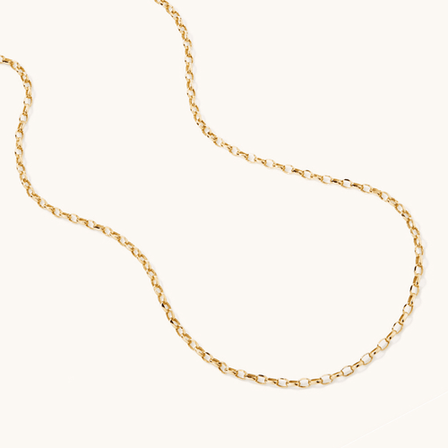 55cm Fine Hollow Oval Belcher Chain in 9kt Yellow Gold Necklaces Bevilles 