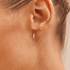 Hammered Hoop Studs in 9kt Yellow Gold Earrings Bevilles 