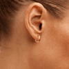 Diamond Cut Hoop Stud Earrings in 9kt Yellow Gold Earrings Bevilles 