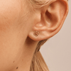 Cut-Out Clover Stud Earrings in 9kt Yellow Gold Earrings Bevilles 