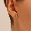 Butterfly Stud Earrings in 9kt Yellow Gold Earrings Bevilles 