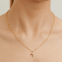 10mm Dolphin Pendant in 9kt Bonded Gold Silver Filled Pendants Bevilles 