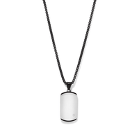 60cm Dog Tag with Cubic Zirconia Accent in Stainless Steel Pendants Bevilles 