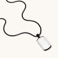 60cm Dog Tag with Cubic Zirconia Accent in Stainless Steel Pendants Bevilles 
