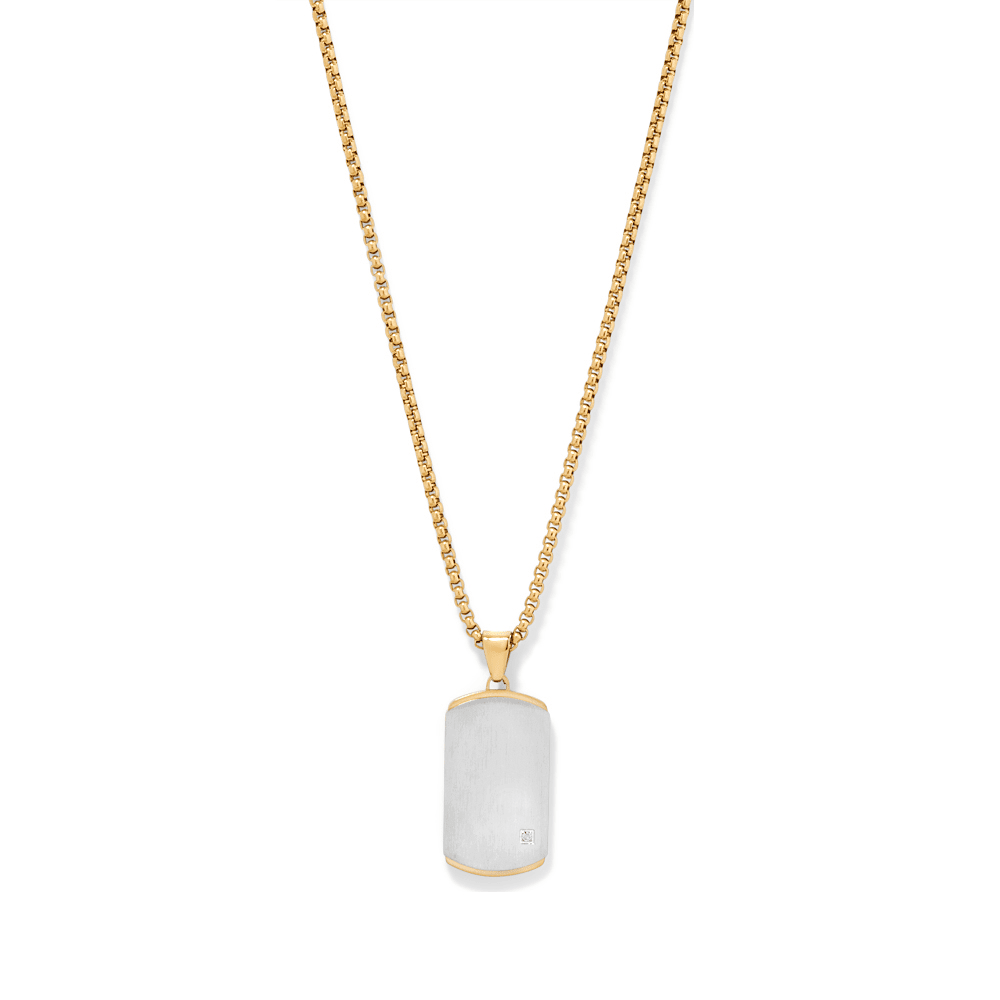 60cm Dog Tag with Cubic Zirconia Accent in Stainless Steel Pendants Bevilles 