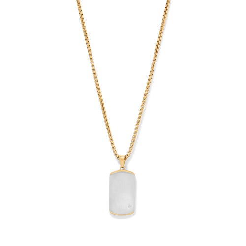 60cm Dog Tag with Cubic Zirconia Accent in Stainless Steel Pendants Bevilles 