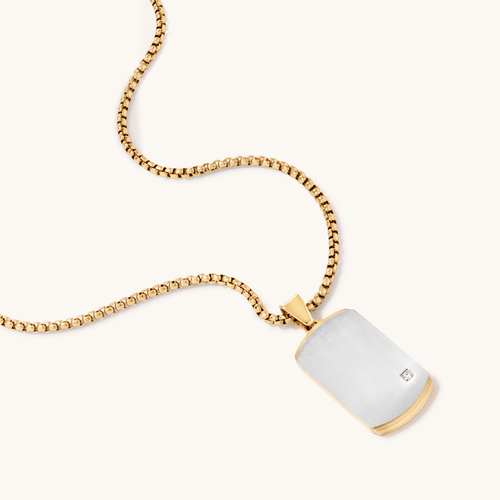 60cm Dog Tag with Cubic Zirconia Accent in Stainless Steel Pendants Bevilles 