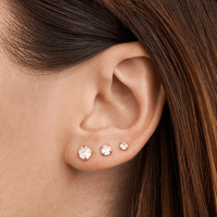 Cubic Zirconia Stud Set in PVD Stainless Steel Earrings Bevilles 