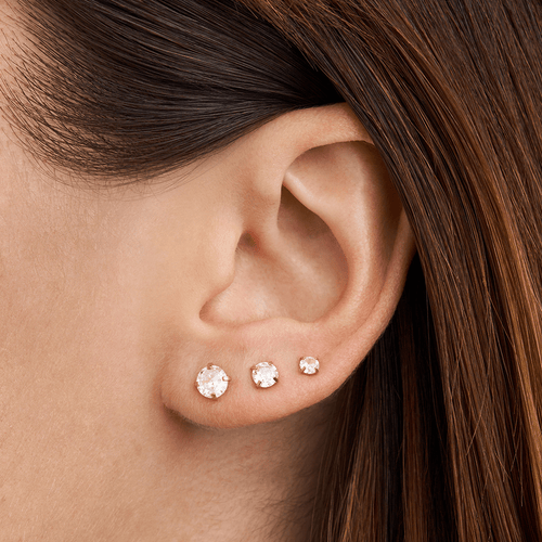 Cubic Zirconia Stud Set in Waterproof PVD Stainless Steel Earrings Bevilles 
