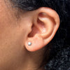 Christmas Star Stud Earrings in Sterling Silver Bevilles 