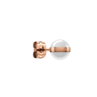 Daniel Wellington Aspiration Earrings Earrings Daniel Wellington 