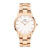 Daniel Wellington Iconic Link 36 Rose Gold & White Watch Watches Daniel Wellington 