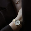 Daniel Wellington Petite 36 Evergold Gold & White Watch Watches Daniel Wellington 