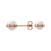 Daniel Wellington Aspiration Earrings Earrings Daniel Wellington 