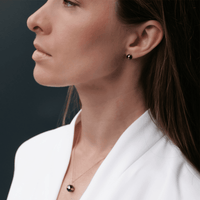 Daniel Wellington Aspiration Earrings Earrings Daniel Wellington 
