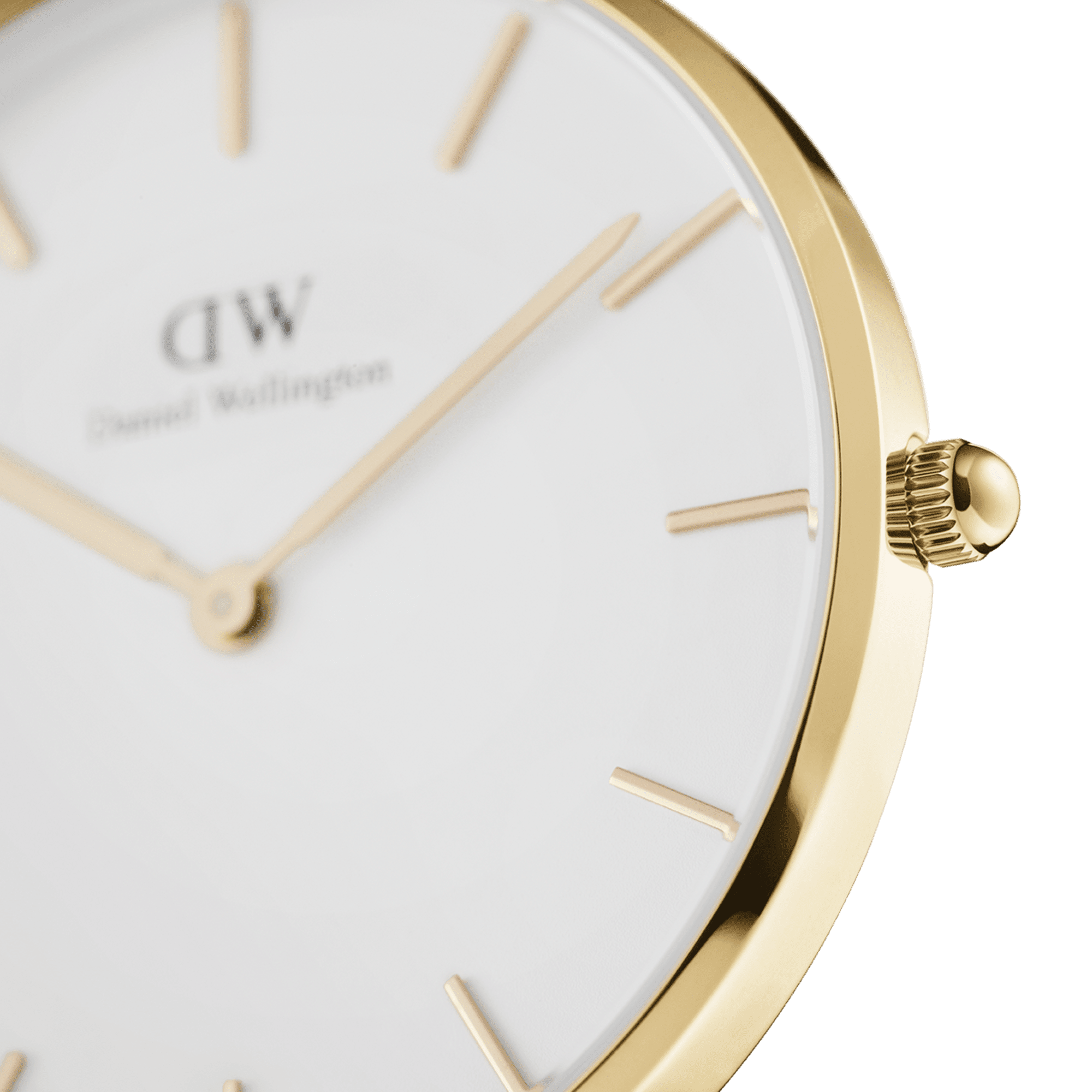 Daniel Wellington Petite 36 Evergold Gold & White Watch Watches Daniel Wellington 