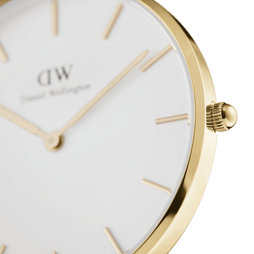 Daniel Wellington Petite 36 Evergold Gold & White Watch Watches Daniel Wellington 