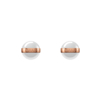 Daniel Wellington Aspiration Earrings Earrings Daniel Wellington 