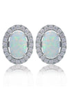 OPAL GLOW BLACKWATTLE WHITE CREATED OPAL EARRINGS SILVER Bevilles Jewellers 