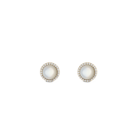 Daniel Wellington Audrey Earrings Mother of Pearl Gold Earrings Daniel Wellington 