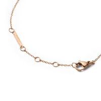 Daniel Wellington Audrey bracelet Mother of Pearl Rose Gold Bracelets Daniel Wellington 