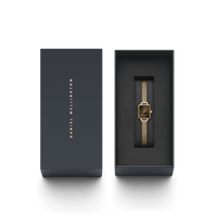 Daniel Wellington Quadro Mini Evergold Amber Watch Watches Daniel Wellington 