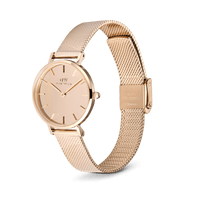Daniel Wellington Petite Reflection Rose Gold Watch Watches Daniel Wellington 