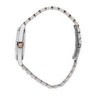 Chiara Ferragni Everyday Two Tone 34mm Watch Bevilles Jewellers 