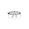 GEORGINI HEIRLOOM FAVOURED RING SILVER Bevilles Jewellers 7 