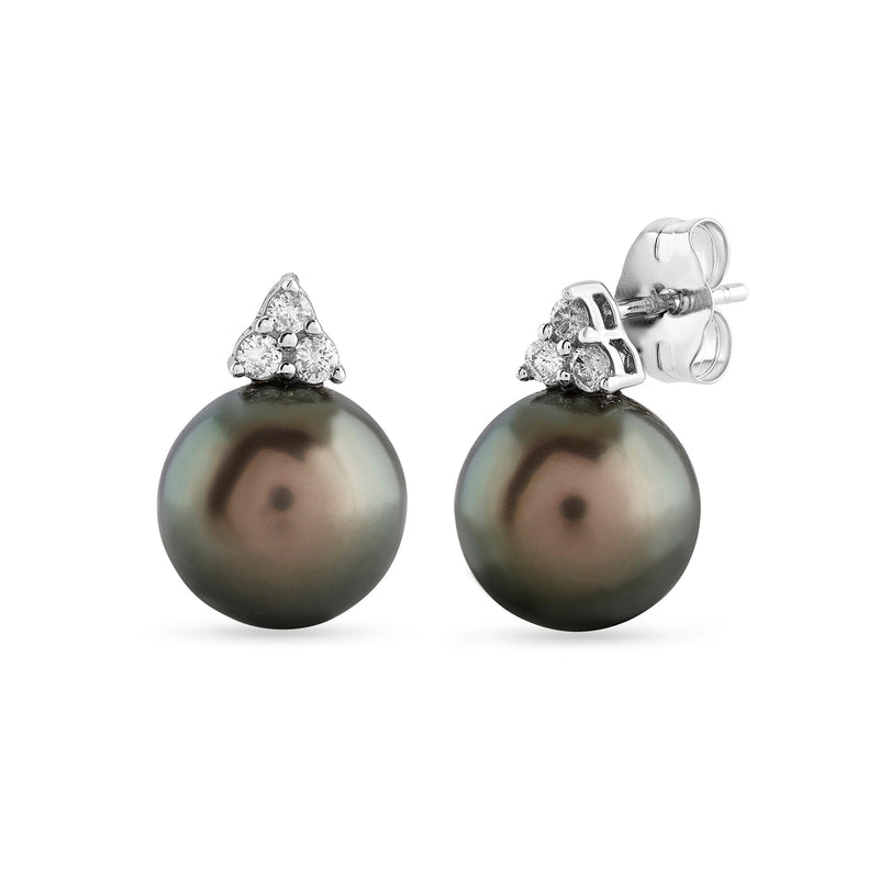 Tahitian Black Pearl Stud Earring with 0.10ct of Diamonds in 9ct White Gold Earrings Bevilles 