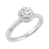 Love by Michelle Beville Halo Solitaire Ring with 0.65ct of Diamonds in 18ct White Gold Rings Bevilles 