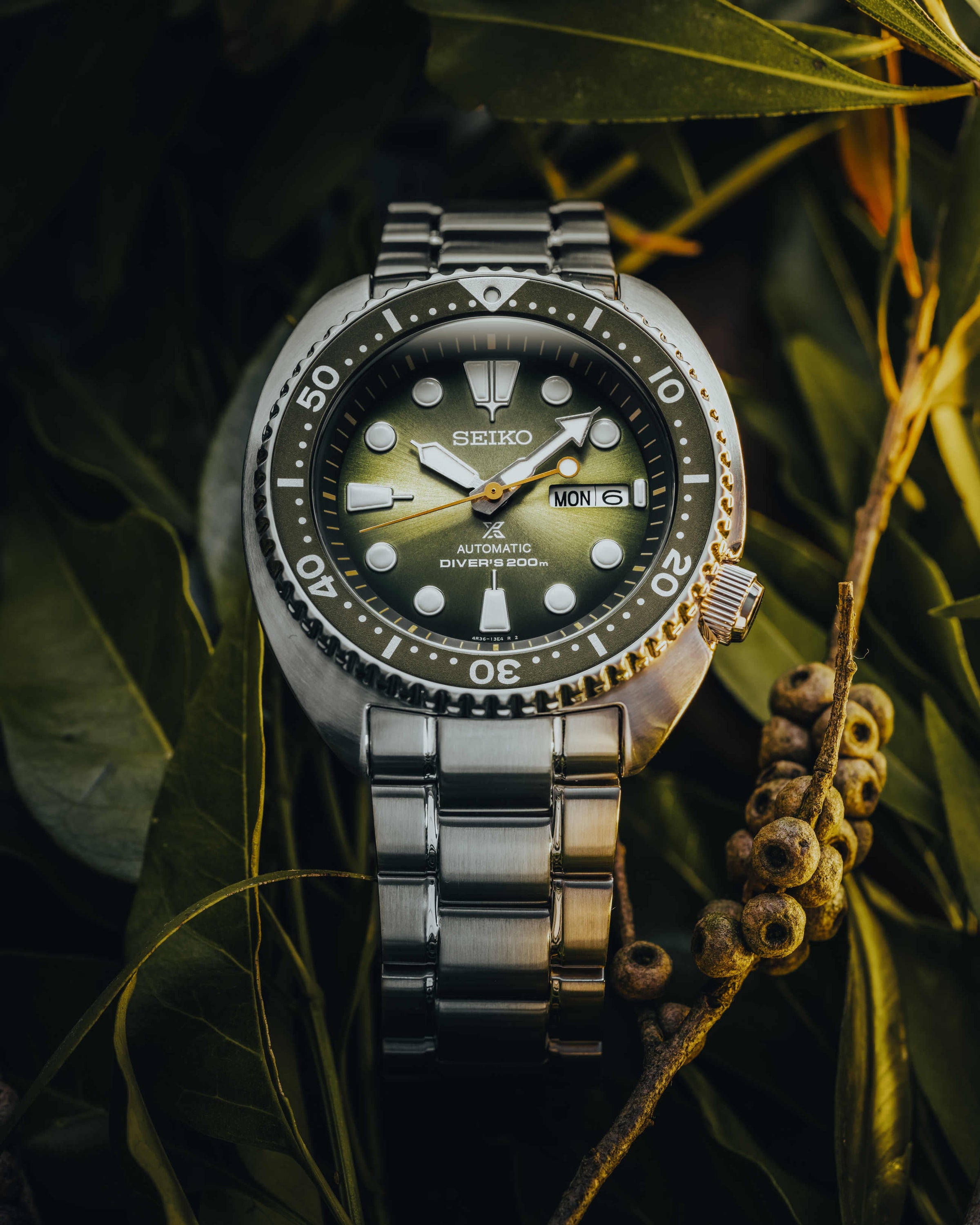 Seiko Prospex Limited Edition Eucalyptus Men's Watch SRPJ53K Watches Seiko 