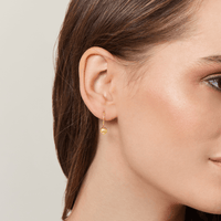 9ct Yellow Gold Silver Infused Euro Ball Earrings 6mm Earrings Bevilles 