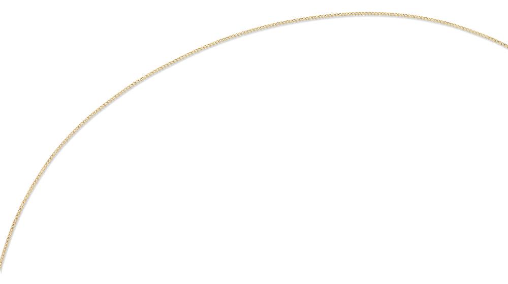 9ct Yellow Gold Silver Infused 45cm Curb Necklace Necklaces Bevilles 