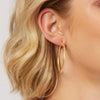 9ct Yellow Gold Silver Infused Hoop Earrings 40mm Earrings Bevilles 