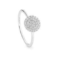PAVO RHODIUM RING Bevilles Jewellers 